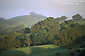 Green hills and oaks in clearing fog, Briones Regional Park, above Lafayette, California