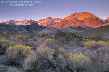 Alpenglow at sunrise on Basin Mountain, Buttermilk Region, near Bishop, Eastern Sierra, California