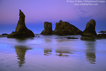 Pre-dawn light over coastal sea stacks at Bandon State Beach, Bandon, Oregon