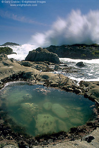 Tide pool and crashing wave, Bean Hollow State Beach, San Mateo County, California