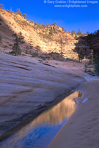 Sunset on sandstone cliffs reflected in stream pool, Zion National Park, Utah