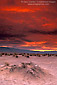 Red storm clouds glowing at sunrise over the Devils Cornfield, Death Valley National Park, California