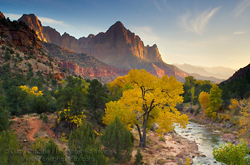 Sunset light on the Watchman, above the Virgin River, Zion National Park, Utah,