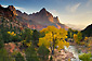 Sunset light on the Watchman, above the Virgin River, Zion National Park, Utah,