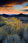 Sunset light on clouds above the Kolob Plateau, Zion National Park, Utah
