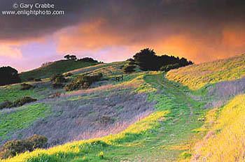 Stormy sunset over trail in the hills above Lafayette, California