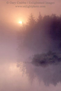 Misty fall sunrise reflected in pond in the Adirondak Mountains, New York