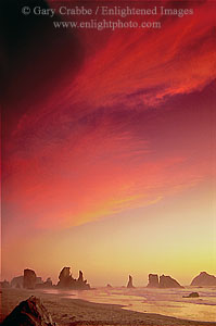 Primeval sunset over seastacks, Bandon, Oregon