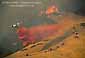 Aerial Fire Retardant Drop, Mount Diablo, California