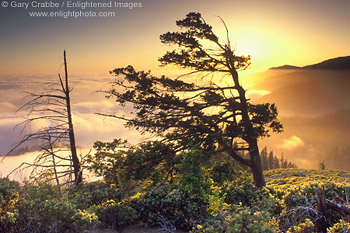 Sunset over fog bank and coastal mountains along the Lost Coast, near Shelter Cove, Humboldt County, California