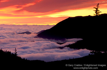 Sunrise from Hurricane Ridge, Olympic National Park, Washington