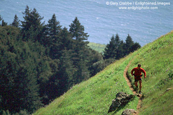 Cross country runner on green hills in spring, Marin County, California