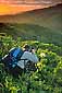 Photographer at work at sunset, above Tennessee Valley, Golden Gate NRA Marin County, California