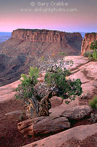 Pre-dawn light on a clear morning over red rock cliffs, Island in the Sky, Canyonlands National Park, Southern Utah