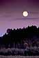 Harvest Moonrise, Grand Teton National Park, Wyoming