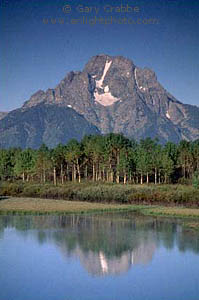 Mount Moran and Aspen Trees, from Oxbow Bend on the Snake River, Grand Teton National Park, Wyoming