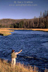 Fly-Fishing on the Madison River, Yellowstone National Park, Wyoming