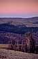 Pre-dawn Light over burnt forest from Mount Washburn, Yellowstone National Park, Wyoming