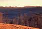 Sunrise over burnt forest above the Lamar Valley, from Mount Washburn, Yellowstone National Park, Wyoming