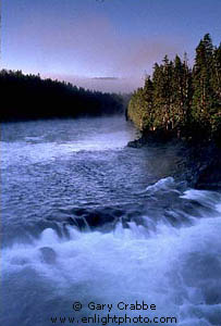 Morning mist rising over the Yellowstone River in fall, Yellowstone National Park, Wyoming