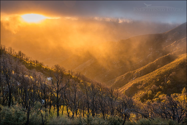 Image: Sun bursts through storm clouds in the Los Padres National Forest, Monterey County, California