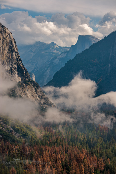 Image: Morning mist after a storm along the base of El Capitan in Yosemite Valley, as seen from Tunnel View, Yosemite National Park, California