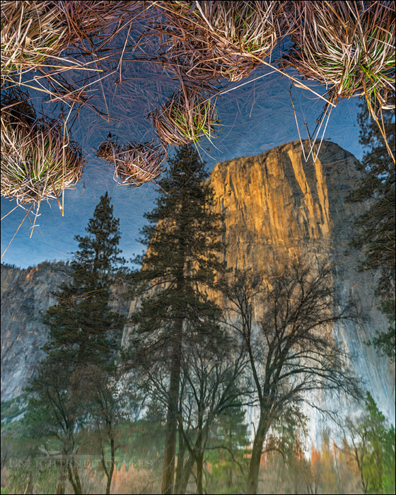 Image: El Capitan reflected in the Merced River, Yosemite Valley, Yosemite National Park, California