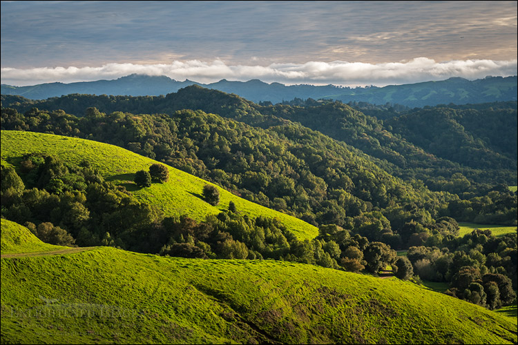 Image: Clouds over Briones Regional Park in spring, Contra Costa County, California