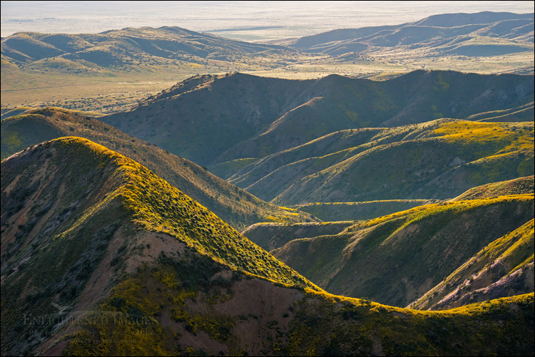 Image: Eroded hills of the Temblor Range, Carrizo Plain National Monument, California
