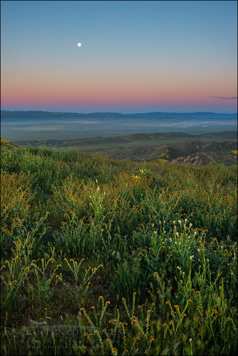 Image: Moonset at dawn, Carrizo Plain National Monument, California