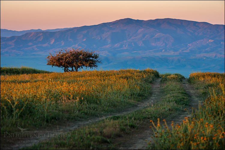 Image: Backcountry road in the Temblor Range, Carrizo Plain National Monument, California