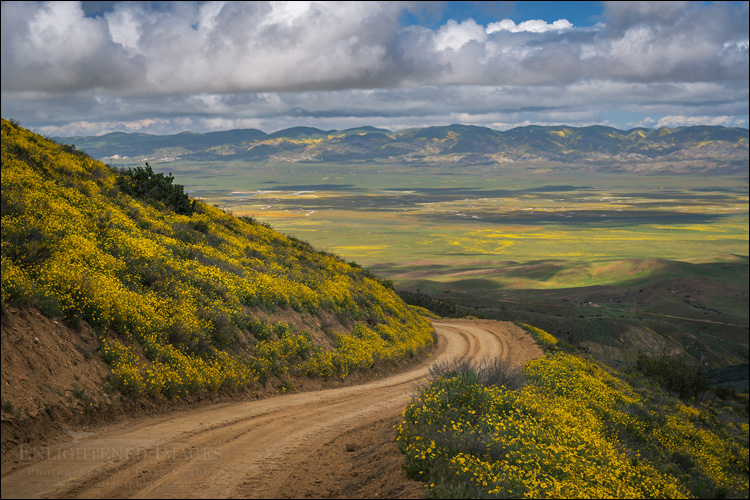 Image: Road in the Caliente Range in spring, Carrizo Plain National Monument, California