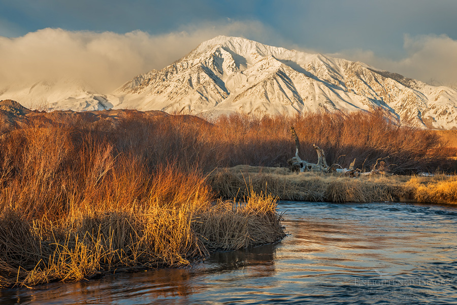 Image: Morning light on a snow-covered Mount Tom in winter over the Owens River near Bishop, Inyo County, Eastern Sierra, California