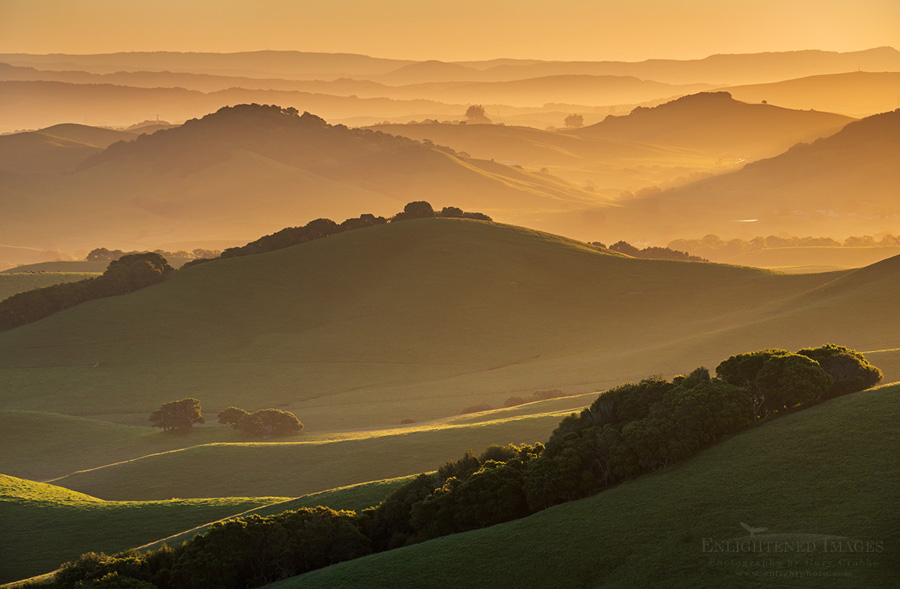 Image: Sunrise over rolling green hills in spring near Petaluma, Sonoma County, California