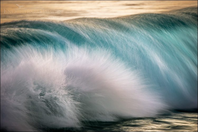 Hawaiian Waves – Silent Lucidity in Fluidity