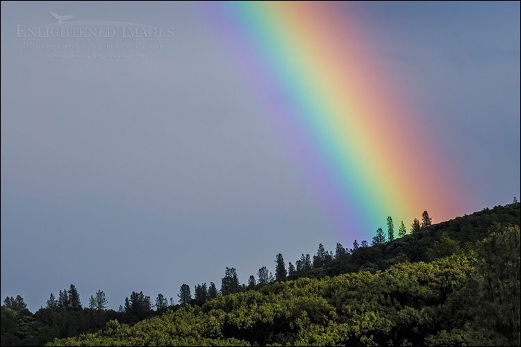 Photo: Rainbow over a forest after a storm, Whiskeytown National Recreation Area, Shasta County, California