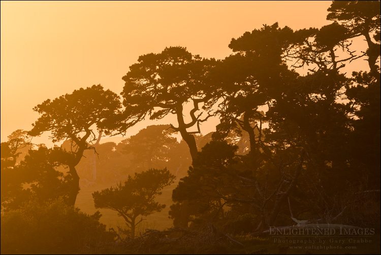 Off the Beaten Path Point Reyes Workshop May 4-6