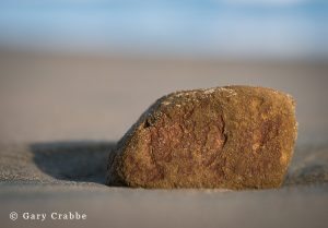 Photo: Rock on Drakes Beach, Point Reyes National Seashore, California
