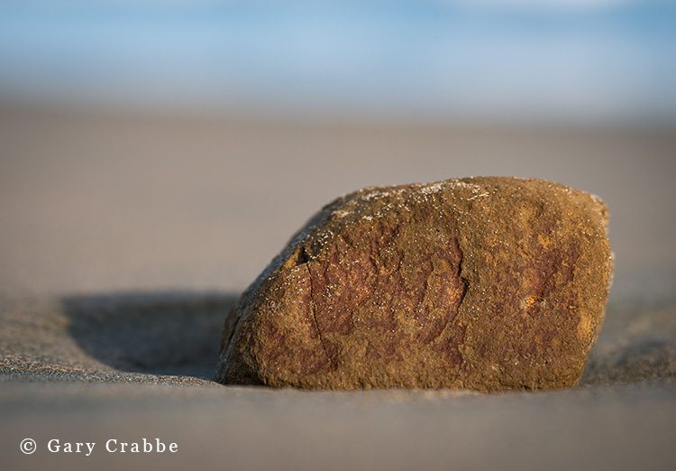 Small rock on sandy beach, Drakes Beach, Point Reyes National Seashore, Marin County, California