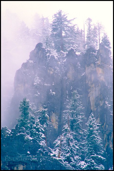 Photo: Snow storm on the rim of Yosemite Valley in winter, Yosemite National Park, California - ID YOS-0252