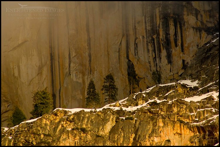 Photo: Trees on rocky ledge of cliff on Half Dome at sunset, Yosemite National Park, California - ID# VLY2-2302