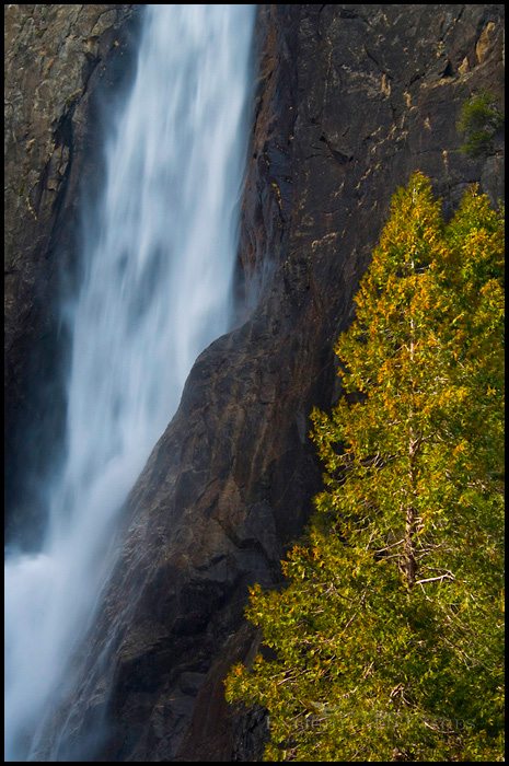 Photo: Lower Yosemite Fall, Yosemite Valley waterfall, Yosemite National Park, California - ID# VLY2-2452