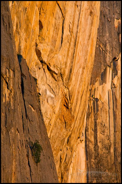 Photo: Golden sunlight on sheer cliff detail of Leaning Tower in Yosemite Valley, Yosemite National Park, California - ID# VLY2-2534
