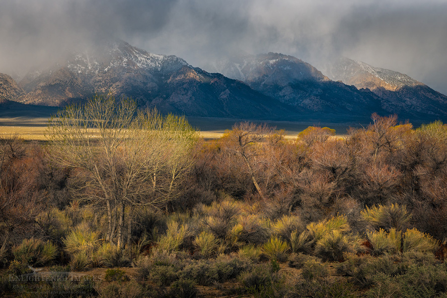 Photo: Storm clouds and sunlight drifting over the mountains of the Eastern Sierra, near Lone Pine, Inyo County, California