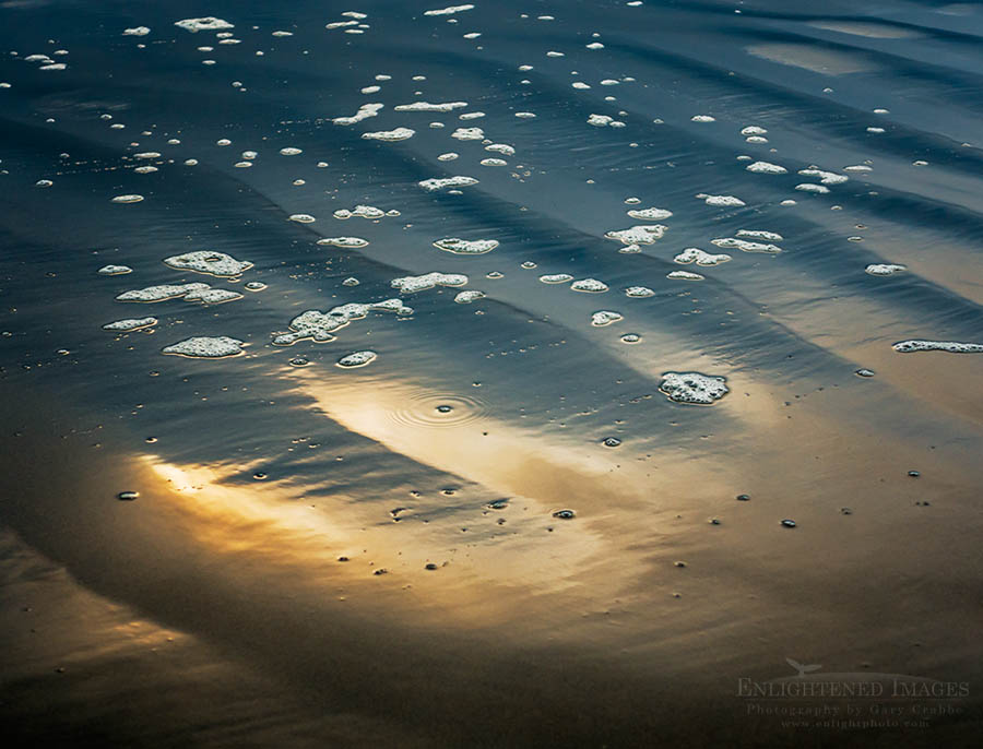 Photo: Sunlight refelcted on wet sand at Drakes Beach, Point Reyes National Seashore, Marin County, California