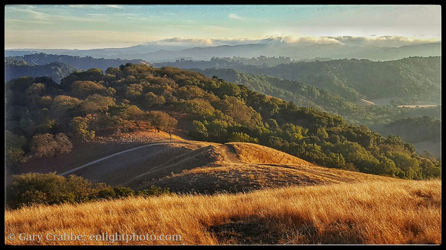 Photo: Overlooking the hills of Briones Regional Park, Contra Costa County, California