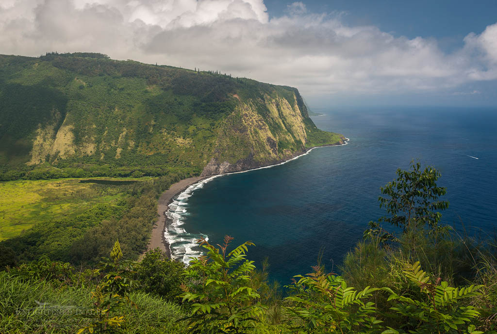 Photo: View of the steep coastal cliffs along Waipio Bay from the Waipio Valley Lookout, Hāmākua District, The Big Island of Hawai'i, Hawaii