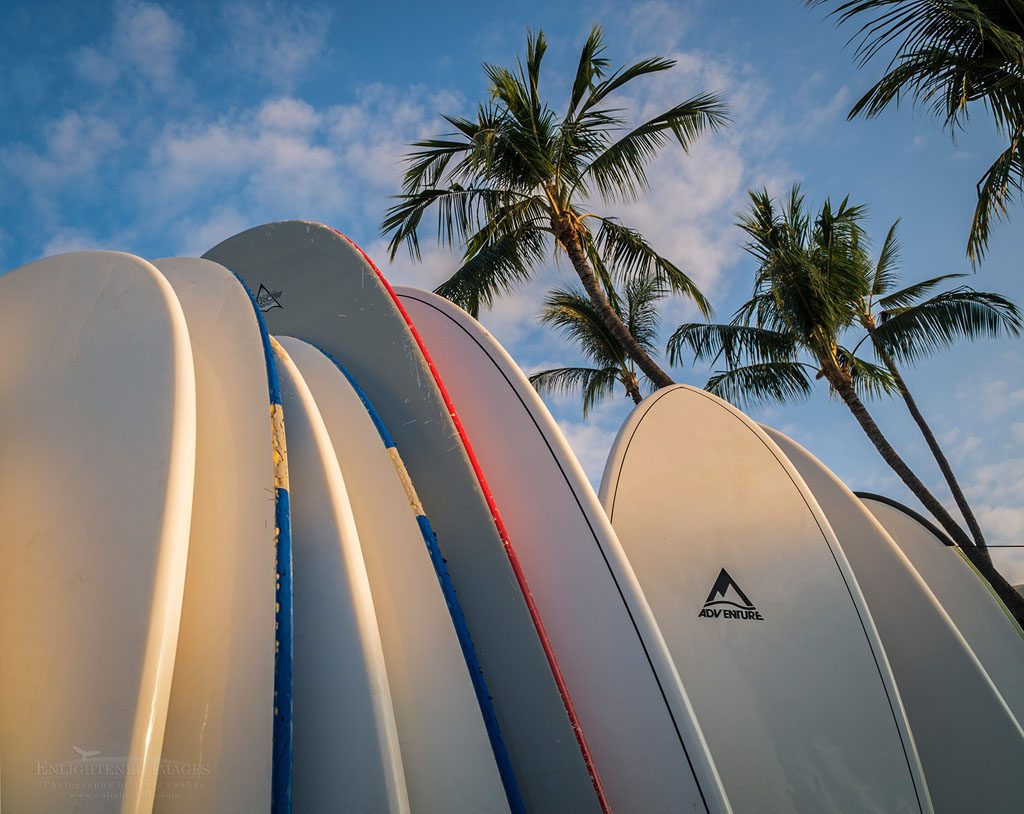 Photo: Surfboards and palm trees, Kailua-Kona, Hawaii