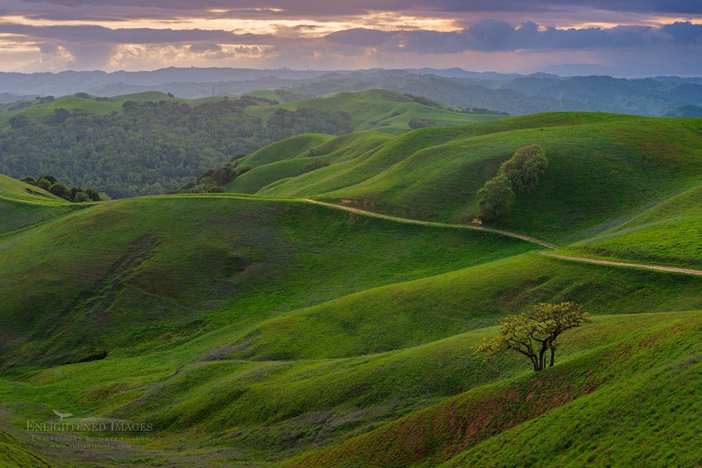 Photo: Storm clouds roll over green hills in spring at sunset, Briones Regional Park, Contra Costa County, California