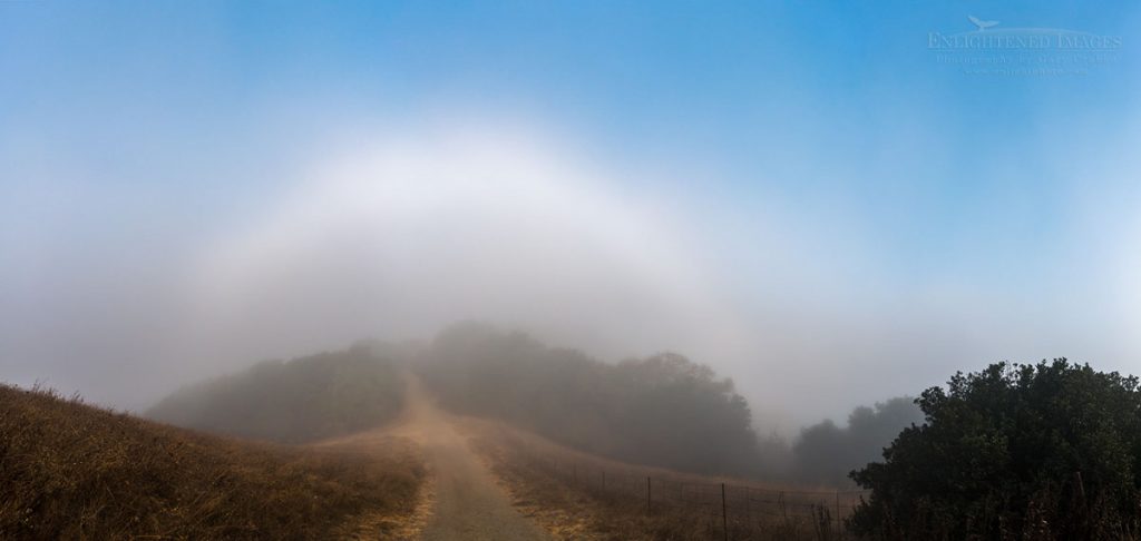 Photo: Fogbow over Briones Crest Trail, Briones Regional Park, Contra Costa County, California